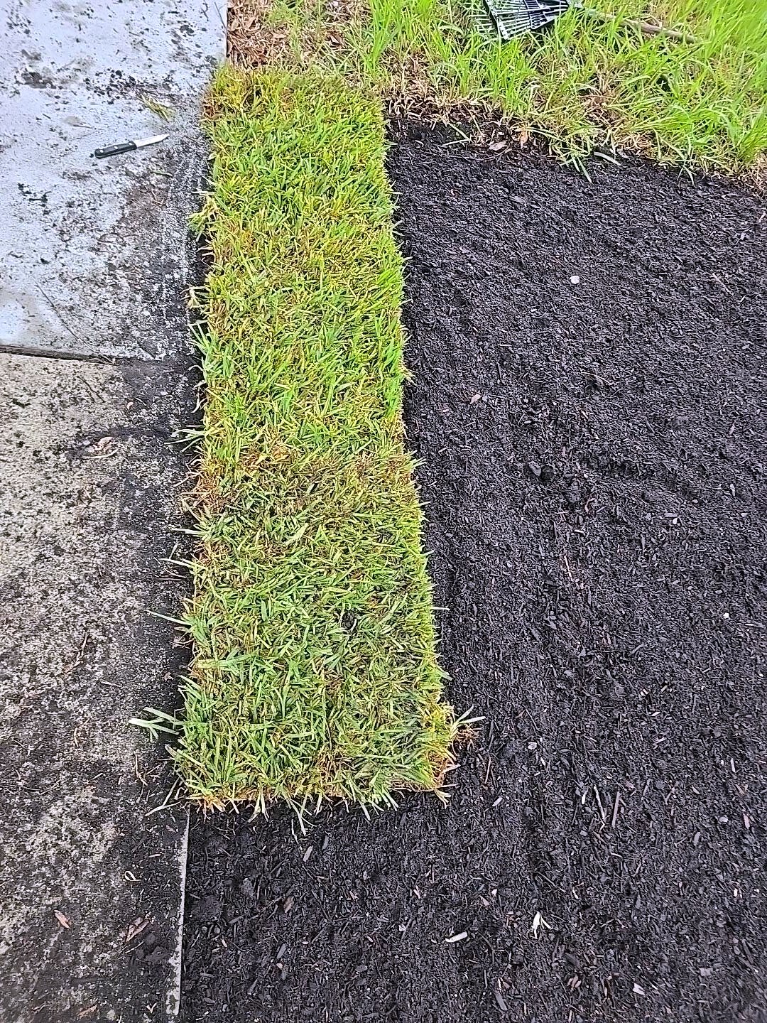 Borde con césped nuevo