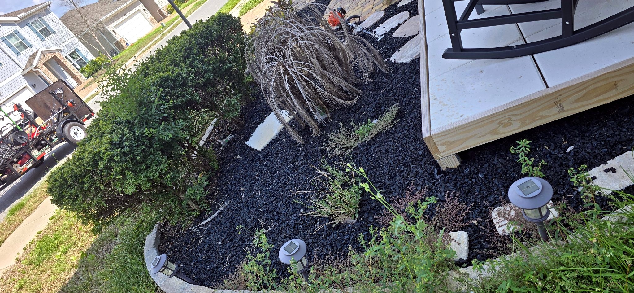 Mulch negro instalado